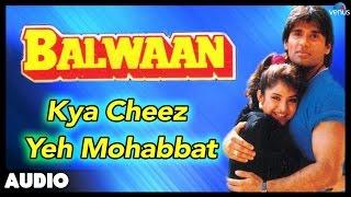 Balwaan : Kya Cheez Yeh Mohabbat Full Audio Song | Sunil Shetty, Divya Bharti |