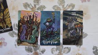 Magical Creatures Tarot #unboxing #playingwithpairs