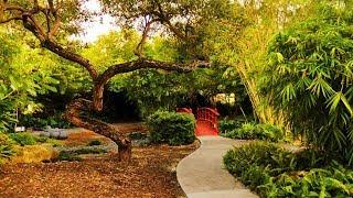 Miami Landmarks: Miami Beach Botanical Garden