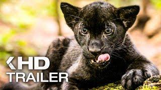 ELLA UND DER SCHWARZE JAGUAR Trailer German Deutsch (2024)