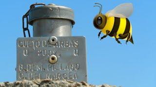 (4K) Summiting the highest mountain in Cangas del Narcea: Cueto de Arbas 