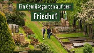 Gärtnern auf dem Friedhof: Der Neue Annenfriedhof öffnet sich für Neues | MDR Garten