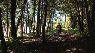 Adirondack Coast - Point au Roche State Park