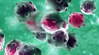 Understanding Immunotherapy in Cancer Treatment – University Hospitals Seidman Cancer Center