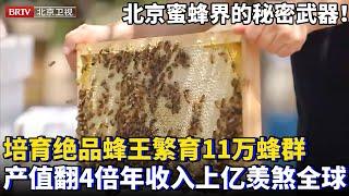 北京蜜蜂养殖界的秘密武器！培育出绝品蜂王，繁育出11万蜂群，如今建成最大蜜蜂基地，产值翻4倍，年收入上亿出口全球！【为你喝彩】