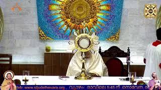 28/05/2025  Wednesday  05.30 PM  Holy Mass    ST JOSEPH CHURCH  St JUDE SHRINE THEVARA