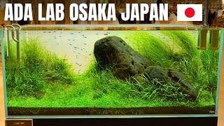 FULL TOUR OF THE BEST AQUARIUM POP UP STORE IN OSAKA JAPAN!