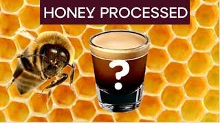 What is honey processed coffee? | Honey processed vs washed coffee- what are the differences?