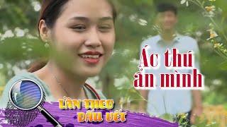 ÁC THÚ ẨN MÌNH | LẦN THEO DẤU VẾT | VIVU TV