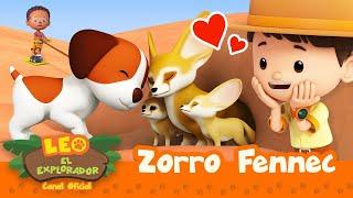 Zorro Fennec  | Leo, El Explorador Episodio | Animación | #compilation