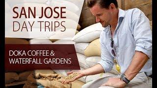 Doka Coffee Tour & Waterfall Gardens: San José Day Trip