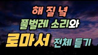 해 질 녘..풀벌레 소리와 로마서 전체 듣기 ㅣ 성경듣기,말씀듣기,성경낭독,말씀낭독,성경구절