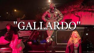 [FREE] Petrov x Crni Cerak x Balkan Type Beat - "Gallardo" | Club Type Beat 2024