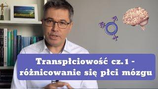 Transpłciowość - różnicowanie się płci mózgu. Dr med. Maciej Klimarczyk, seksuolog, psychiatra.