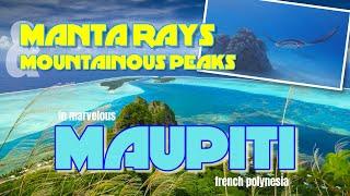 Maupiti - Manta Rays and Mountainous Peaks in French Polynesia.
