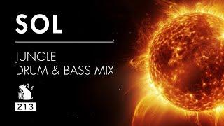 Sol | Jungle Drum & Bass Mix