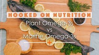 Plant vs Marine Omega-3s | nutritional neuroscientist explains