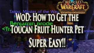 WoD: How to Get the Fruit Hunter Pet!