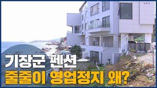 기장군 펜션 영업정지, 스무 곳 이상 늘어날듯