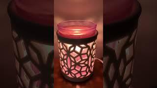 How to use Scentsy Wax and Warmer Home Fragrance 