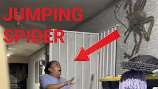 Almost gave mom a Heart Attack