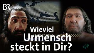 Evolution: Der Urmensch in uns | Faszination Wissen | BR