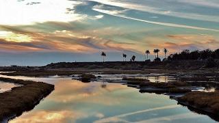 Bolsa Chica Land Trust Live Stream