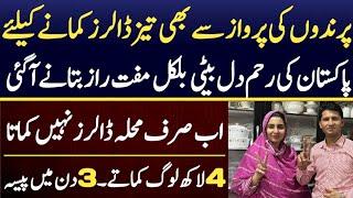 Now Earn Money Online At Home Without Investment With Baji Farhat | Start Online Earning in 3 Days