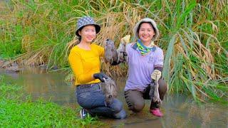 Harvesting Frogs in the Stream Goes To Market Sell - Farm, Daily Life, Cooking | Tieu Lien