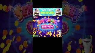 카메오 문어슈가러시 700배! #슬롯머신 #슬롯 #프라그마틱 #잭팟 #slot #pragmatic