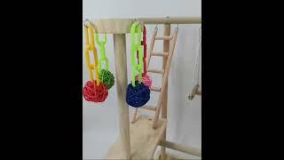 Parakeet Cockatiel Bird Toys Bird Play Gym Playpen Parrot Wood Perch Stand China Manufacturer