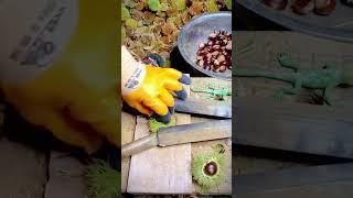 farmers' unique way to open chestnut skins #shorts