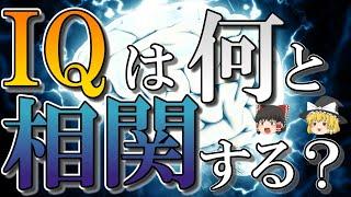 【脳科学の雑学】IQや賢さは何に比例するのか？【ゆっくり解説】