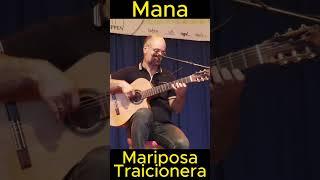 Lokschuppen Bebra 2024 "Mariposa Traicionera" #lokschuppen #flamenco #mana #bebra #chacha  #gitarre