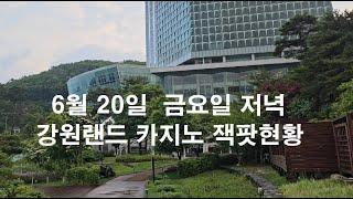 비가 엄청 오는 6월 20일 금요일 저녁 강원랜드 카지노의  잭팟현황과 금액.