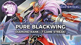 7-0 Streak! Pure Blackwing Deck (Plat-Diamond) - Yu-Gi-Oh! Master Duel