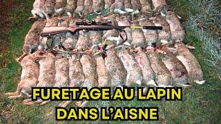 FURETAGE AU LAPIN DANS L'AISNE