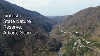 Kintrishi State Nature Reserve, Adjara, Georgia