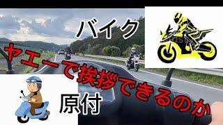 【ツーリング】【バイク】原付乗ってヤエーしたライダーたちは返してくれるのか？！　　　　　　　　#ヤエー  #原付  #原付旅  #バイク #バイク女子            #大学生 #山道