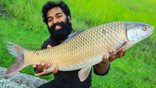 5 KG BIG FISH GRILLED WITH HOT CHEESE |പെടക്കണ മീൻ ചുട്ടെടുത്തത് | M4 TECH |