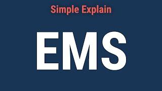 What Is the European Monetary System (EMS)?