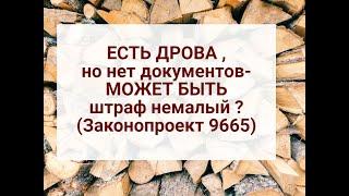 ШТРАФ ?ЕСТЬ ДРОВА дома,но нет документов на них-немалый штраф ?Законопроект 9665 от 10.10.24