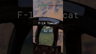 F-14 Tomcat vs Su-25
