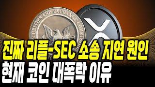 현재 리플과 SEC 소송을 지연시키는 진짜 이유 #xrp