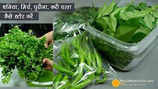 धनिया, मिर्च, पुदीना, करीपत्ता स्टोर करके कैसे रखें ? मेरा तरीका । How I store Coriander leaves etc