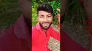 Rato Me Jagaya Nindo Ko Udaya #Aashiq Aman #shorts #trending #bollywood #song