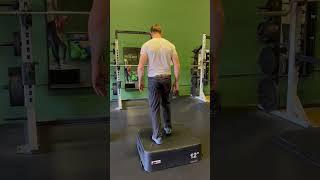 Double Leg Box Jump and Landing | Physical Therapy Beginner Plyometric Exercise