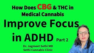 Top Cannabinoids for ADHD. CBG Improves Focus. Doctor Explains Based on 15,000 Patients in 7 years