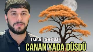 Tural Sedali - Canan Yada Dusdu - 2024