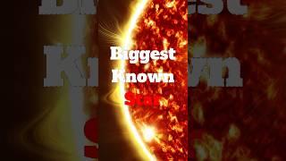 Beyond Imagination: Exploring the Enormous Scale of the Biggest Known Star #shorts #space #iykyk